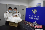广州海关驻邮局办事处查获违规邮寄进境的多肉植物 关悦 摄 - 新浪广东
