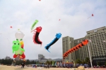 广东省第四届风筝锦标赛　在海陵岛举行 - 体育局