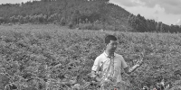 广东加快构建新型农业经营主体培育政策体系  - Gd.People.Com.Cn