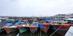 南海海域休渔对渔民短期有影响但会长远受益 - 新浪广东