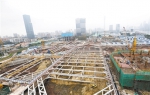 【中国梦·践行者】4000多名建设者用汗水浇筑琶洲创新梦 - 广东大洋网