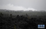 夏威夷火山喷发新现裂缝，又一拨居民被迫疏散 - News.Timedg.Com