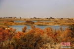 资料图：新疆塔克拉玛干沙漠。耿丹丹 摄 - 新浪广东