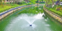 广州印发“洗河”指引：珠江、流溪河以及187条重点河涌每季度至少洗一次 - 广东大洋网