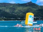 世界马拉松游泳系列赛 意大利队包揽男女组冠军 - 新浪广东