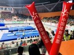 肇庆体彩借助全国体操锦标赛　开展宣传 - 体育局