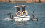 今年前4月水警救落水者42人 - 广东大洋网