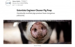 我校研发的节粮环保转基因猪取得重大进展　有望缓解养猪业环境污染等问题 - 华南农业大学