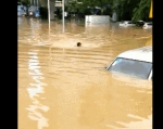 暴雨来了，警察的这些身影，温暖了整个东莞！ - News.Timedg.Com