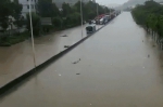 震撼！“水货”艾云尼已经虐遍珠三角！下周东莞仍是雨雨雨，至于5号台风… - News.Timedg.Com