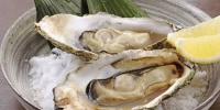 吃货们当心！法国一批受大肠杆菌污染的牡蛎部分已销往中国！ - News.Timedg.Com