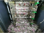 印度一ATM机内大量钞票被老鼠撕成碎片，警方称无能为力 - News.Timedg.Com
