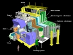 LHCb探测器示意图（图片来源：CERN） - 华南师范大学