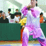 省中学生武术套路锦标赛在顺德落幕 - 体育局
