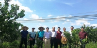 我校乡村振兴服务团队对接化州市橘红产业园建设 - 华南农业大学