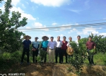 我校乡村振兴服务团队对接化州市橘红产业园建设 - 华南农业大学