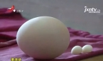 女子在家里床单下发现两个蛋！“看得我脚都发抖啊…” - News.Timedg.Com