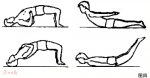 经常做三点式挺腹锻炼 防止腰椎间盘突出 - 新浪广东