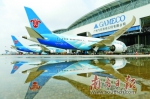 国际航空枢纽建设“半年考” - 广东大洋网