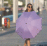 高温天气里，遮阳伞和墨镜是靓女们的标配 记者 陈栋 摄于南城 - 新浪广东