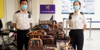 旅客携带41件名牌挎包入境被查 估值约20余万元 - 广东大洋网