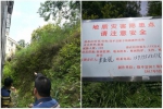 饶平县国土资源局在新丰镇举行突发地质灾害应急演练 - 新浪广东