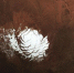 外媒称火星上发现第一个液态水湖 直径约20公里(图) - 新浪广东