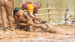 老挝溃坝已致11死，被困7天的小猫爬上救援人员肩头 - News.Timedg.Com