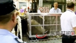 两只大熊猫昨晚抵达东莞，接机全过程视频来了！快看看“珍大”“双儿”长什么样~ - News.Timedg.Com