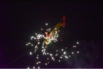 2018年粤港澳大湾区（珠海）全民健身风筝文化节惊喜上演 - 体育局