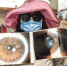女子展示其受伤眼睛的照片。图片来源：香港《明报》 许芳文/摄 - 新浪广东