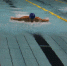 第二届广州市成人游泳公开赛在广州天河体育中心举行 - 体育局