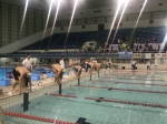 第二届广州市成人游泳公开赛在广州天河体育中心举行 - 体育局