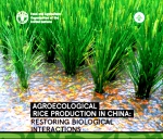 联合国粮农组织发布骆世明教授主编作品Agroecological rice production in China - 华南农业大学