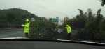 一群逆风而行的人——广州交警迎战“山竹”台风侧记 - 广州市公安局