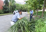 我校师生迅速行动  台风灾后清理全面展开 - 华南农业大学