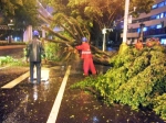 广州市绿化抢险队的56名队员坚守防台风第一线 - 广东大洋网