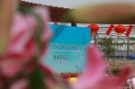 广州种业小镇百合品种展示会开锣 150万株鲜花成花海 - 新浪广东