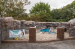 尴尬!英国动物园现"山寨"景点企鹅 全是塑料模型 - 新浪广东