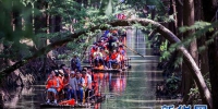 10月4日，游客在江苏兴化“水上森林”中乘船游览。 新华社发（汤德宏 摄） - 新浪广东