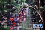 10月4日，游客在江苏兴化“水上森林”中乘船游览。 新华社发（汤德宏 摄） - 新浪广东