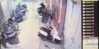 榕城警方侦破一宗偷盗摩托车案件 抓获犯罪嫌疑人四名 - 新浪广东