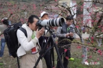 大朗摄影家坠入“摄界”36年，他的名字被载入省摄影史册 - News.Timedg.Com