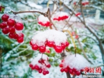 长春迎降雪天气 城市披银装 - News.Timedg.Com