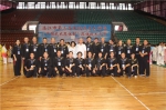 湛江市第三届传统武术大赛收官 - 体育局