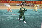 湛江市第三届传统武术大赛收官 - 体育局