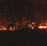 登塘镇南山发生山火 起火原因也正在进一步调查 - 新浪广东