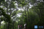 到2020年东莞将建成20个森林公园 其中这个镇数量最多 - News.Timedg.Com