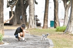 “狗伤人”事故频发：广州拟评估是否修订养犬管理条例 - 广东大洋网