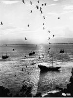 1981年，汕头妈屿附近的渔船照片，韩志光摄 - 新浪广东